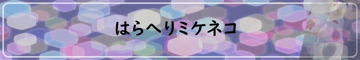 はらへりミケネコ